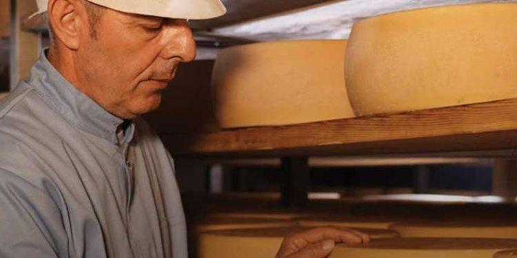 Επιλεγμένα τυριά: Δέκα αιώνων βλάχικη παράδοση και σύγχρονη σκέψη