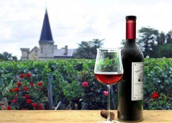 Η κλιματική αλλαγή ευνοεί το γερμανικό κρασί