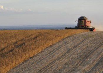 Ταμείο Ανάκαμψης: Ξεκινούν αιτήσεις για τον «Εκσυγχρονισμό του πρωτογενούς τομέα»