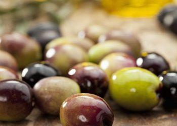 Επιτραπέζια ελιά: Δυσοίωνες οι προβλέψεις για τη νέα ελαιοκομική περίοδο