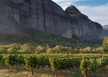Αγροτουρισμός: Απολαυστικές αποδράσεις στις παραδόσεις του τόπου μας
