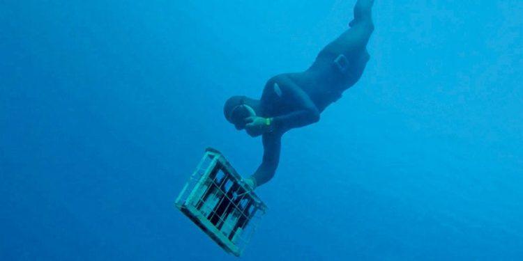 Κρασιά σπάνια όσο μία γοργόνα και πολύπλοκα όσο η θάλασσα