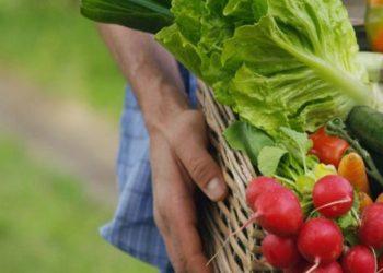 Eurostat: Κερδίζει έδαφος η βιολογική γεωργία