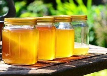 Μελισσοκομία: Άσχημοι οιωνοί για τη φετινή χρονιά