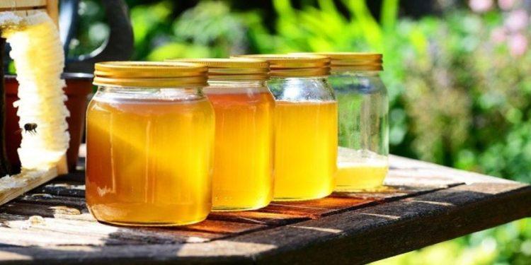 Μελισσοκομία: Άσχημοι οιωνοί για τη φετινή χρονιά