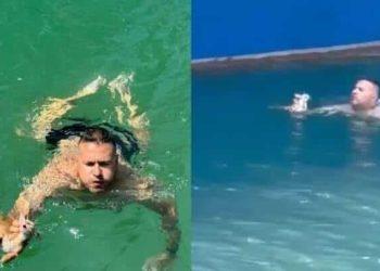 ΔΙΈΣΩΣΕ ΓΑΤΆΚΙ ΑΠΌ ΤΗΝ ΘΆΛΑΣΣΑ !!