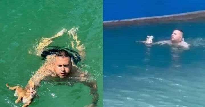 ΔΙΈΣΩΣΕ ΓΑΤΆΚΙ ΑΠΌ ΤΗΝ ΘΆΛΑΣΣΑ !!