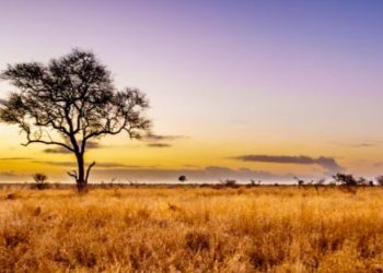 Κλιματική αλλαγή: Το μέλλον θα θυμίζει Αφρική