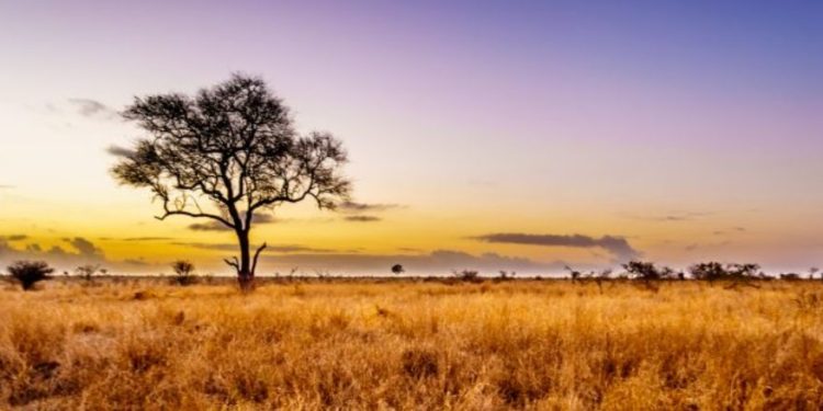 Κλιματική αλλαγή: Το μέλλον θα θυμίζει Αφρική