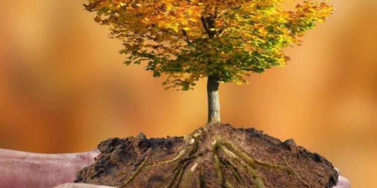 Μεσόγειος: «Hotspot της κλιματικής κρίσης» – Τι συμβαίνει στην Ελλάδα