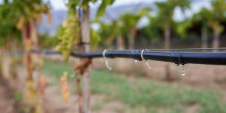 ΕΕ: Στα σκαριά χαλάρωση των περιορισμών για γενετικά μεταλλαγμένες καλλιέργειες