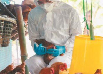 Πανδημία: έρχεται νέα; Τι ανησυχεί τους επιστήμονες