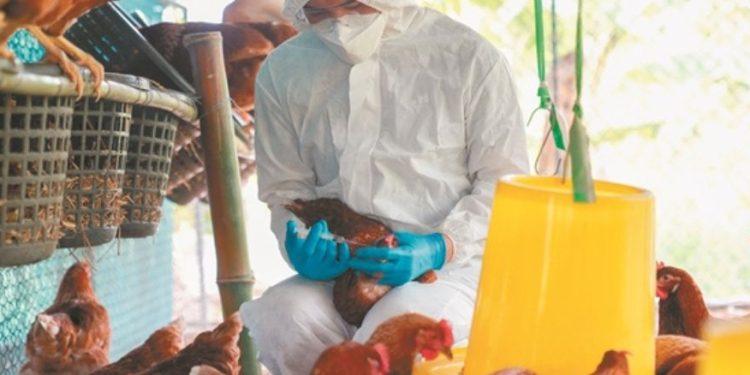 Πανδημία: έρχεται νέα; Τι ανησυχεί τους επιστήμονες