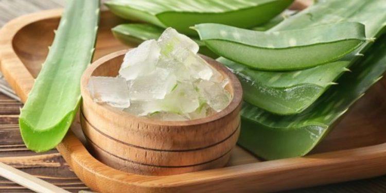 Αλόη βέρα: Συναγερμός από τον ΠΟΥ – Στην λίστα με τις πιθανώς καρκινογόνες ουσίες