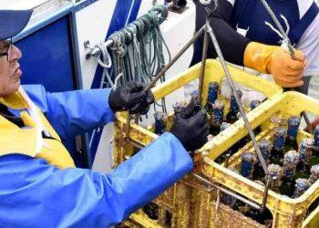 Τώρα και η Ιαπωνία ωριμάζει κρασιά στον βυθό της θάλασσας