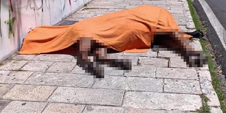 Κέρκυρα: Οργή από τους φιλόζωους για το νεκρό άλογο -«Εδώ και χρόνια φωνάζουμε για τις άμαξες»