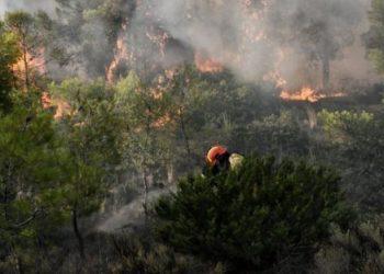 Μαίνεται το πύρινο μέτωπο στη Νάξο, μετά τη φωτιά που ξέσπασε χθες το μεσημέρι στην περιοχή Κεραμωτή