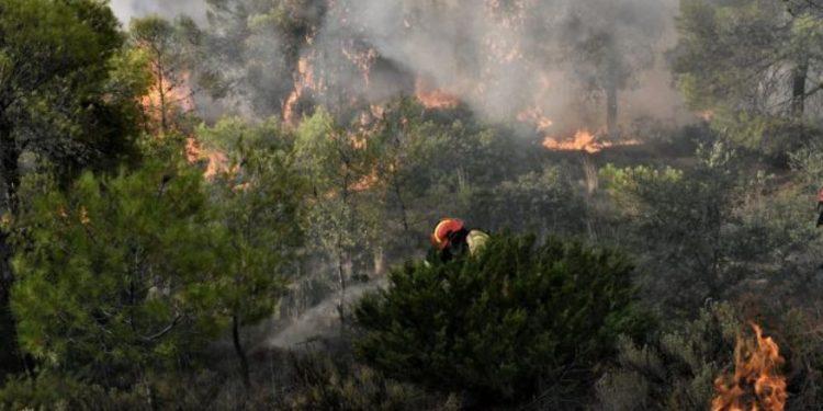 Μαίνεται το πύρινο μέτωπο στη Νάξο, μετά τη φωτιά που ξέσπασε χθες το μεσημέρι στην περιοχή Κεραμωτή