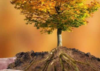 Καύσωνας: Ο πλανήτης βίωσε την πιο ζεστή εβδομάδα όλων των εποχών και τα χειρότερα είναι μπροστά