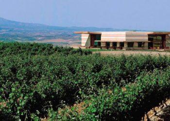 Κίνα, Βραζιλία και Ρωσία τρέχουν την παγκόσμια αγορά οίνου, στα 538,35 δις δολάρια η αξία της αγοράς ως το 2028