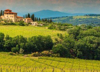 Συναγερμός στην Ιταλία με τους καύσωνες να απειλούν την αμπελοκαλλιέργεια