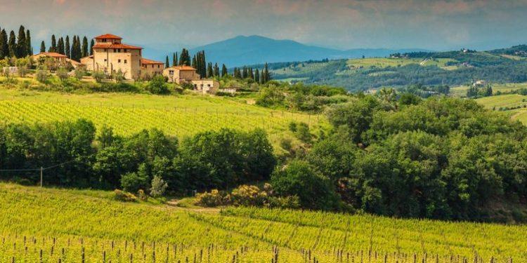 Συναγερμός στην Ιταλία με τους καύσωνες να απειλούν την αμπελοκαλλιέργεια