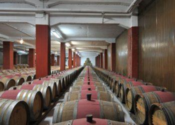 Με την δύναμη του Ξινόμαυρου, το μεράκι των αμπελουργών και τις νέες τεχνολογίες πορεύεται ο VAENI – Νάουσα