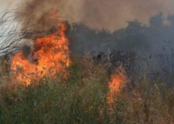 Πύρινος εφιάλτης στη Μαγνησία: Πώς εξελίσσονται τα πύρινα μέτωπα σε όλη τη χώρα
