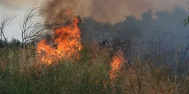 Πύρινος εφιάλτης στη Μαγνησία: Πώς εξελίσσονται τα πύρινα μέτωπα σε όλη τη χώρα