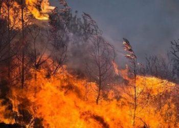 Πολιτική Προστασία: Πού υπάρχει μεγάλος κίνδυνος για φωτιές σήμερα 28 Ιουλίου – Δείτε τον χάρτη