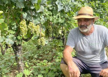 Το boutique οινοποιείο του Άγγελου Μπούτσικα βάζει στο μπουκάλι τη Μαλβάζια