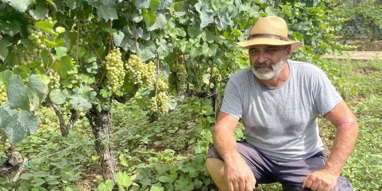 Το boutique οινοποιείο του Άγγελου Μπούτσικα βάζει στο μπουκάλι τη Μαλβάζια