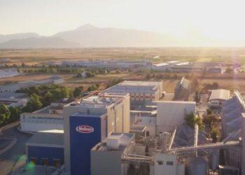 Μέλισσα Κίκιζας: Η ελληνοϊταλική μάχη της… μακαρονάδας και η υπεραξία του ελαιολάδου