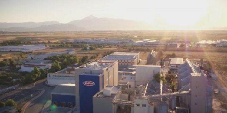 Μέλισσα Κίκιζας: Η ελληνοϊταλική μάχη της… μακαρονάδας και η υπεραξία του ελαιολάδου