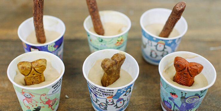 Καλοκαιρινές λιχουδιές για σκύλους