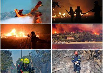 Ανάγκη για ένα εθνικό σχέδιο εκκένωσης ζώων σε καταστάσεις έκτακτης ανάγκης