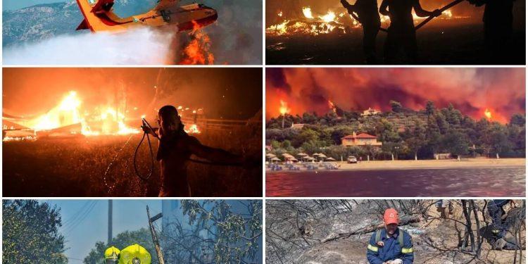 Ανάγκη για ένα εθνικό σχέδιο εκκένωσης ζώων σε καταστάσεις έκτακτης ανάγκης