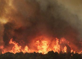 Πύρινα μέτωπα σε Ανδρο, Εβρο, Πάρνηθα