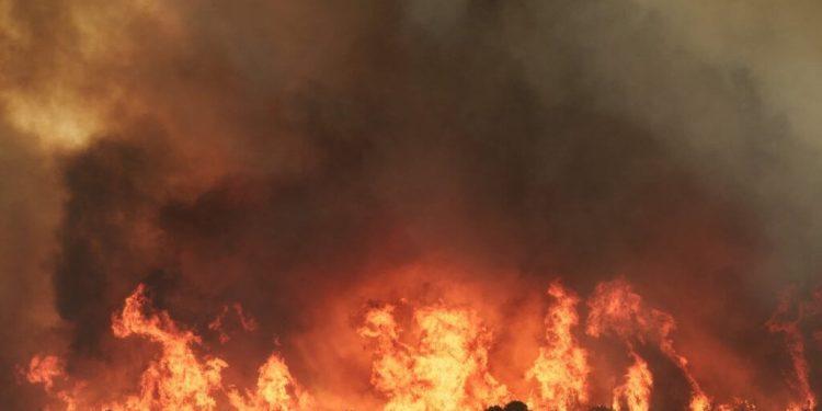 Πύρινα μέτωπα σε Ανδρο, Εβρο, Πάρνηθα