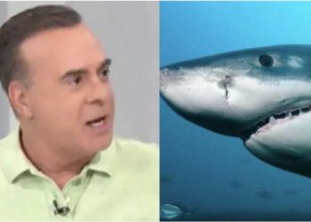 Φώτης Σεργουλόπουλος: Τον δάγκωσε καρχαρίας