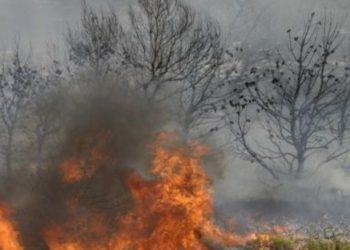 Φωτιές: Πολύ υψηλός κίνδυνος πυρκαγιάς για την Κυριακή – Σε «πορτοκαλί» συναγερμό έξι περιφέρειες