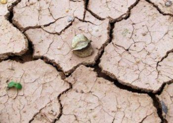 Κλιματική αλλαγή: Η ξηρασία απειλεί την Ελλάδα – Δυσοίωνες προβλέψεις για δύο περιοχές
