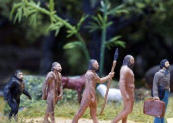 Βρέθηκε κρανίο από άγνωστο ανθρώπινο είδος