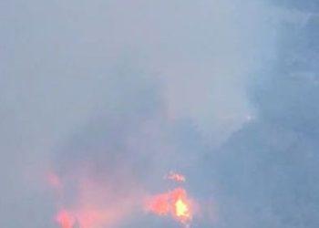 Φωτιά: Πύρινος εφιάλτης στην Πάρνηθα – Προς το τελεφερίκ κινείται η φωτιά – Η κατάσταση στα πύρινα μέτωπα