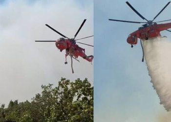 Φωτιά στην Αλεξανδρούπολη: Η ΕΛ.ΑΣ. στο πλευρό των πολιτών με συνεχή ενημέρωση