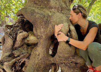 Ζέτα Δούκα: Το μήνυμά της για τις φωτιές