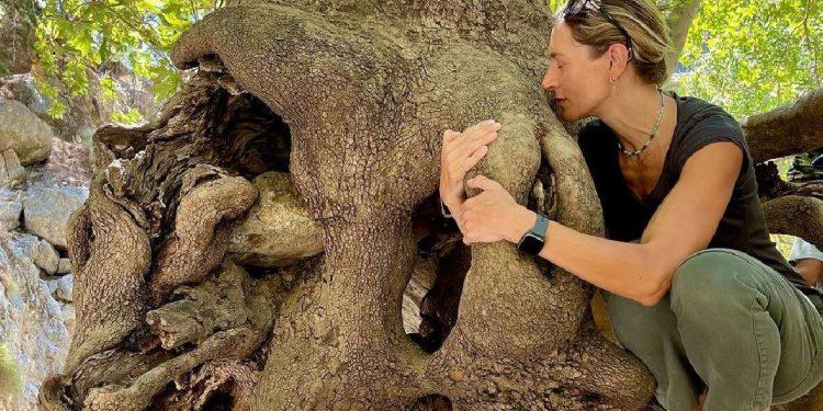 Ζέτα Δούκα: Το μήνυμά της για τις φωτιές