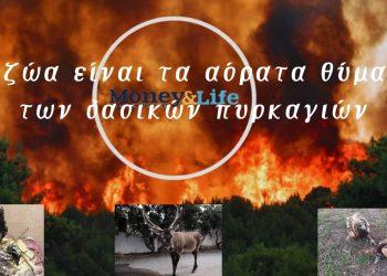 Αόρατα θύματα πυρκαγιών: Η ανάγκη για ευαισθητοποίηση