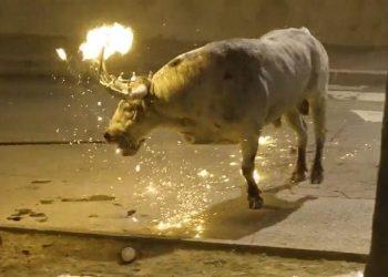 Τρομακτικό βασανιστήριο σε ταύρο στη Βαλένθια