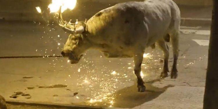 Τρομακτικό βασανιστήριο σε ταύρο στη Βαλένθια